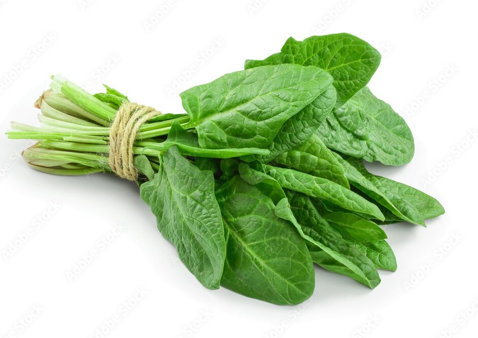 Spinach (Palak)